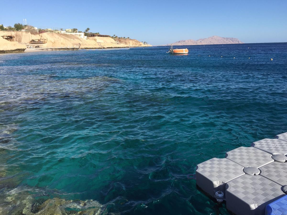 Sharks Bay Oasis Apartment Шарм-еш-Шейх Екстер'єр фото
