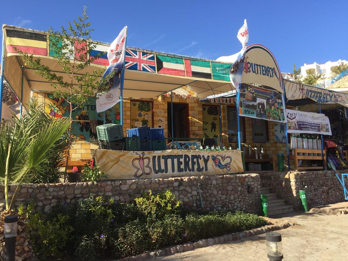 Sharks Bay Oasis Apartment Шарм-еш-Шейх Екстер'єр фото