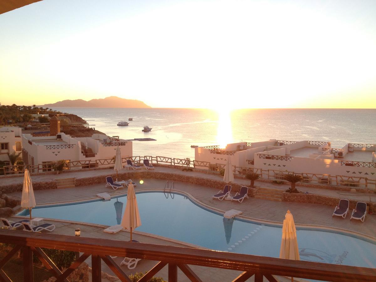 Sharks Bay Oasis Apartment Шарм-еш-Шейх Екстер'єр фото